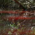 P1000760.JPG